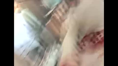 Snapshot of thunder8u42 chatting on October 10, 12:37 pm thunder8u42 online show from October 10, 12:37 pm