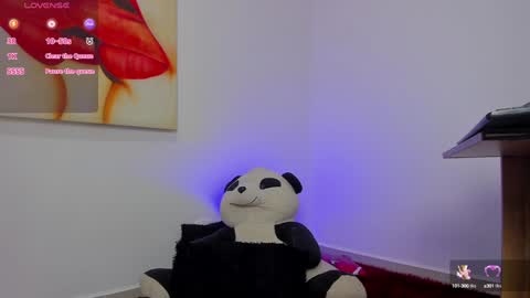 carolina online show from December 20, 12:19 am