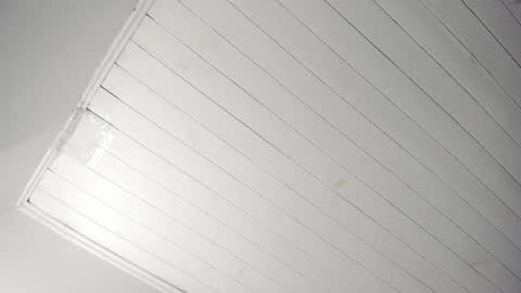 Tiffany online show from November 22, 11:09 am