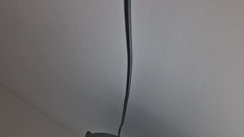 tiko392 online show from April 10, 10:20 am