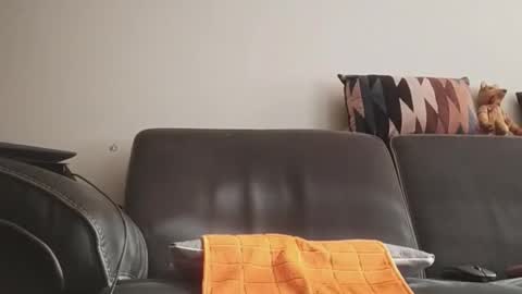 tinydick online show from June 11, 7:17 am