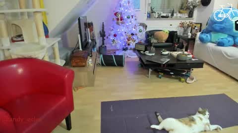 Snapshot of tiny_williams chatting on December 3, 4:31 am Tiny online show from December 3, 4:31 am