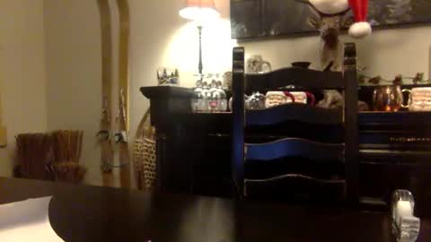 Snapshot of tinyandtatted420 chatting on December 18, 1:22 am tinyandtatted420 online show from December 18, 1:22 am