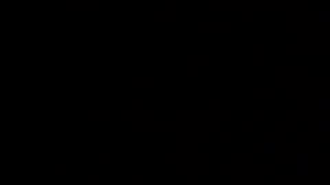 zeetiniee online show from April 13, 12:16 am