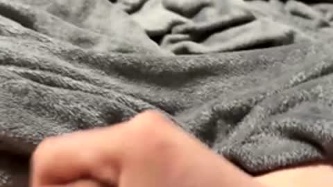 tmue online show from February 15, 2:58 pm