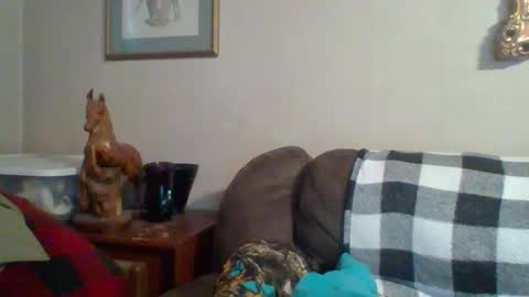 Snapshot of tnvols1968 chatting on October 29, 9:49 pm Vols online show from October 29, 9:49 pm