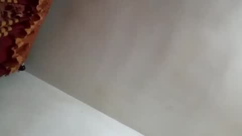 Snapshot of tobe557337 chatting on January 31, 8:43 am tobe557337 online show from January 31, 8:43 am