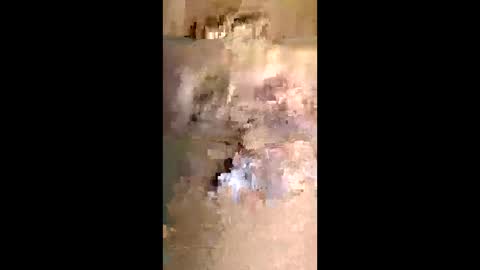 todd25697 online show from May 10, 12:49 am