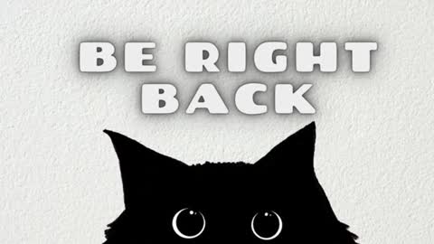 Tolli Moll online show from January 28, 11:49 am