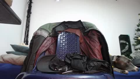 Snapshot of tommy_c0rtez chatting on January 9, 10:52 pm Thomas online show from January 9, 10:52 pm