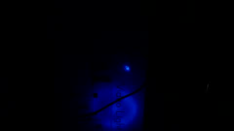 Snapshot of tommy_c0rtez chatting on January 21, 10:30 pm Thomas online show from January 21, 10:30 pm