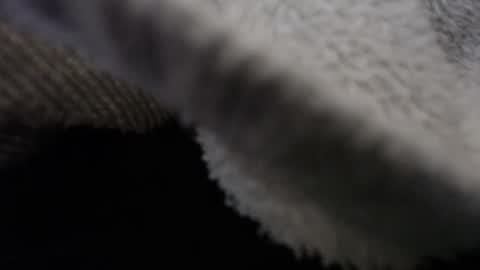 Snapshot of tommy_c0rtez chatting on February 12, 1:30 am Thomas online show from February 12, 1:30 am