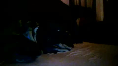 Snapshot of tommy_mackz chatting on March 2, 5:08 am tommy mackz online show from March 2, 5:08 am