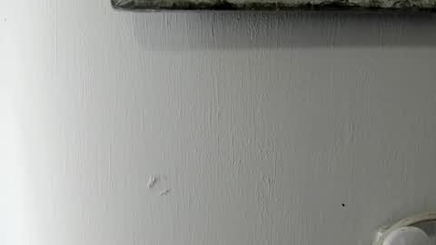 Snapshot of ton_amourrx chatting on January 6, 5:38 pm lady blue online show from January 6, 5:38 pm