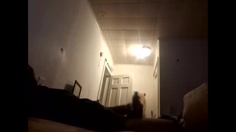 Snapshot of tonetanight chatting on February 7, 4:22 pm tonetanight online show from February 7, 4:22 pm