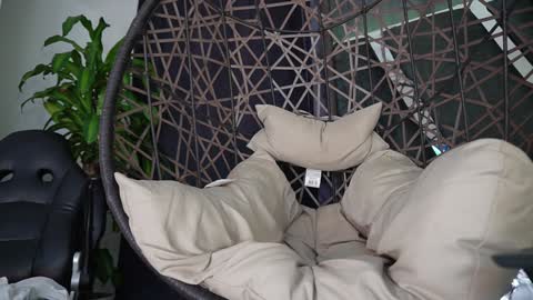 tony online show from January 8, 10:06 pm