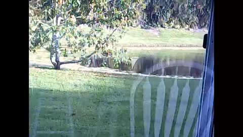 Snapshot of tonymcfly99 chatting on February 21, 9:43 pm tonymcfly99 online show from February 21, 9:43 pm