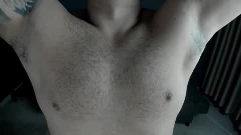 Snapshot of tonywilcoxx chatting on November 13, 6:23 am TonyWilcox online show from November 13, 6:23 am