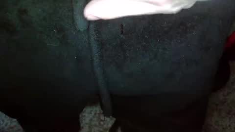 Snapshot of topg84 chatting on December 15, 2:59 pm Topg84 online show from December 15, 2:59 pm