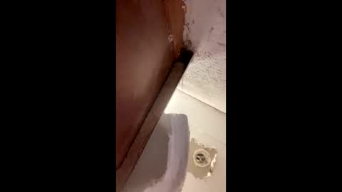 toronto5656 online show from January 12, 4:00 am