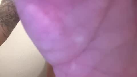 toronto5656 online show from February 1, 5:07 am