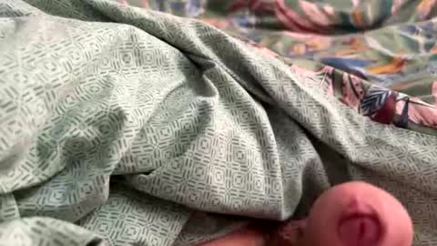 Snapshot of tos12345 chatting on November 21, 12:15 pm tos12345 online show from November 21, 12:15 pm