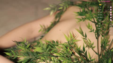 Toshi online show from January 20, 1:00 pm