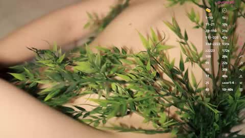 Toshi online show from March 12, 1:06 pm