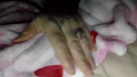 toxicanikki online show from January 8, 8:05 am