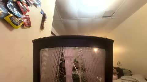 Snapshot of tracy227 chatting on November 9, 10:41 pm tracy227 online show from November 9, 10:41 pm