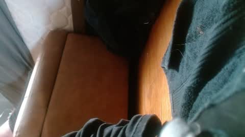Snapshot of treasured_trash chatting on July 28, 7:59 am Dilly Dally online show from July 28, 7:59 am