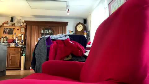 trebgeis1 online show from February 18, 11:44 am