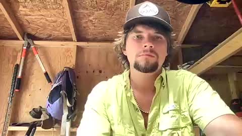 treeman817 online show from August 2, 7:01 pm