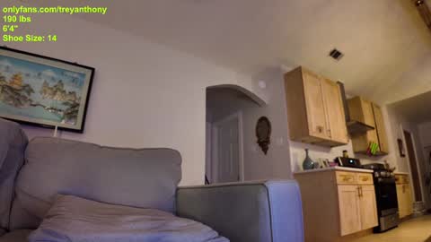 Snapshot of treyanthony chatting on January 7, 12:24 am decentanthony online show from January 7, 12:24 am