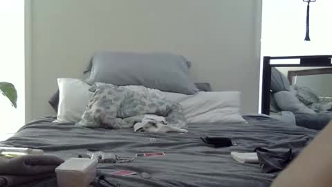 trickquestion online show from February 19, 8:49 pm