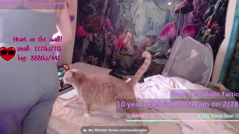 Cassie online show from February 26, 7:46 pm