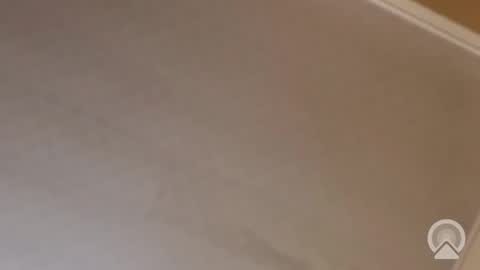 Snapshot of trinislim1868 chatting on November 13, 12:09 am Antique-Shirt2516 online show from November 13, 12:09 am