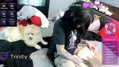Snapshot of trinitykatze chatting on September 26, 8:02 pm Trin Kat pet online show from September 26, 8:02 pm