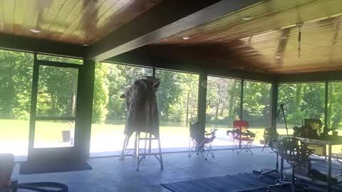 Snapshot of trojanswingers chatting on June 2, 6:32 pm trojanswingers online show from June 2, 6:32 pm