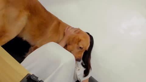 ts_danielahugecock_xxx online show from December 31, 12:43 am