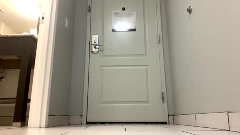 Queen Orleans online show from January 14, 1:04 am