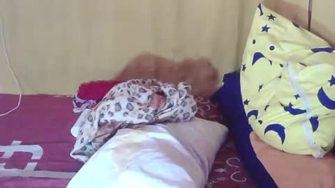 Snapshot of tswinterlily69 chatting on October 11, 2:00 am carmella online show from October 11, 2:00 am