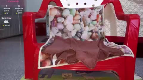 tulip_sexxy online show from September 26, 12:03 am