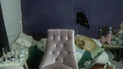 turkishtranswithsurgery online show from December 20, 1:51 pm