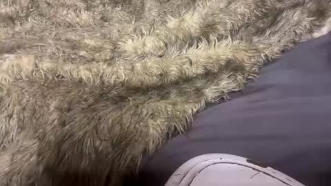 Snapshot of turntpixie chatting on March 7, 4:31 am turntpixie online show from March 7, 4:31 am