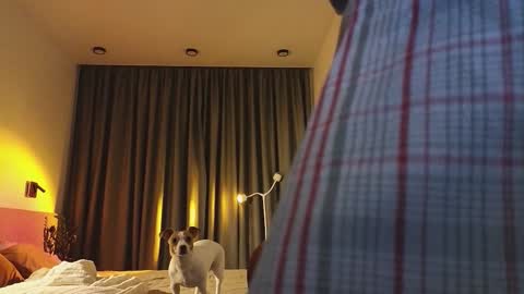 Snapshot of tutti_frutti_ chatting on December 3, 9:46 pm Ariana online show from December 3, 9:46 pm