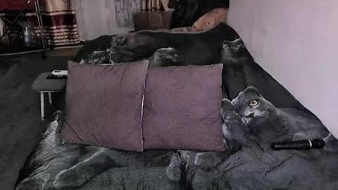 Lana online show from January 17, 9:18 pm