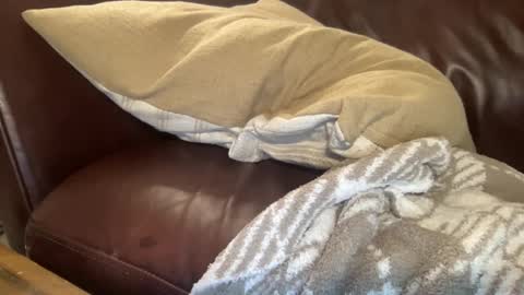 Snapshot of ty23333 chatting on February 6, 10:37 am ty223222 online show from February 6, 10:37 am