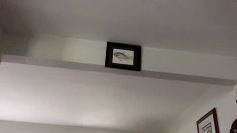 Tyler Durden online show from February 8, 6:12 pm