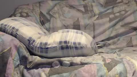 Snapshot of tyson2525 chatting on December 21, 4:41 am Helena and Tyson online show from December 21, 4:41 am